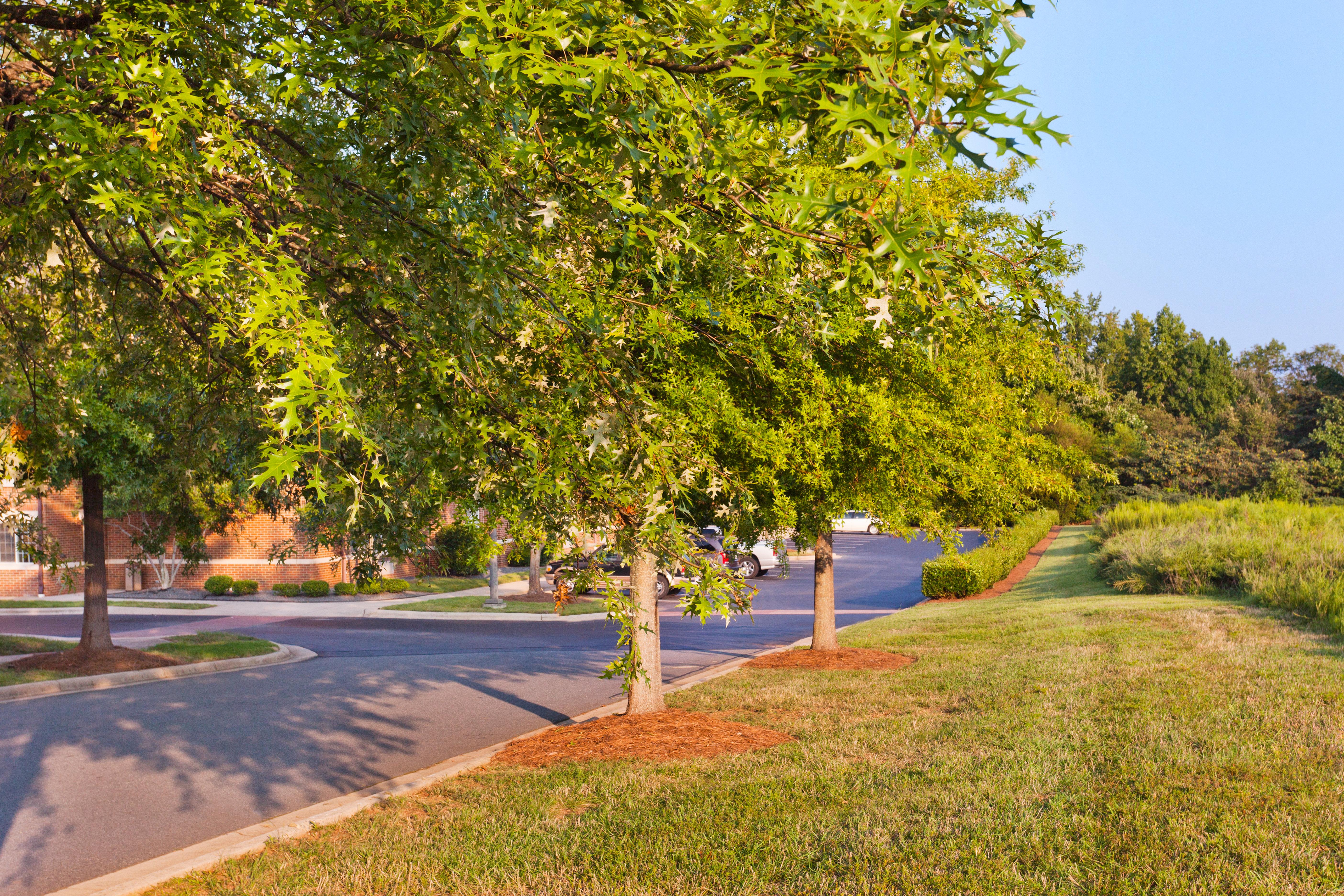 Sonesta Simply Suites Charlotte University Esterno foto