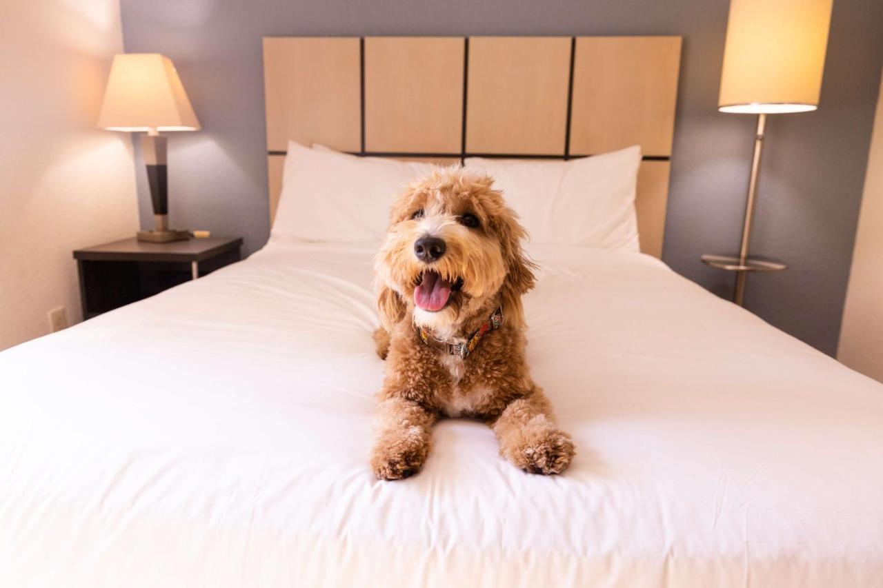 Sonesta Simply Suites Charlotte University Esterno foto